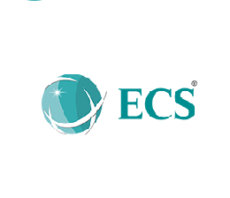 ECS Infotech