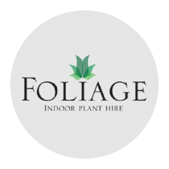 Foliage Indoor Plant Hire